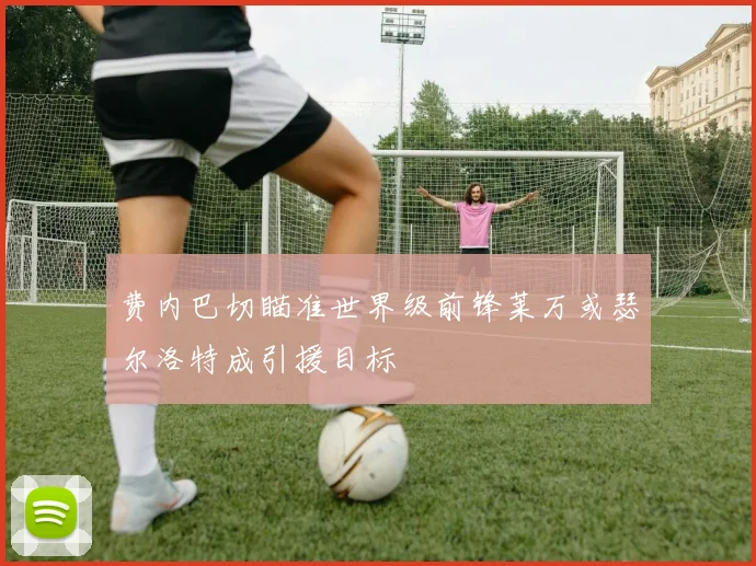 费内巴切瞄准世界级前锋莱万或瑟尔洛特成引援目标